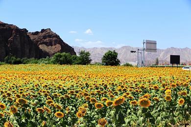 《使命召唤：黑色行动6》经典地图核弹小镇预告 11月1日上线